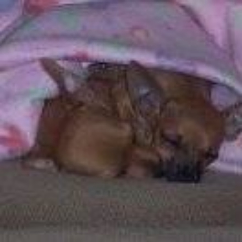 Meet your Posher, Cathy